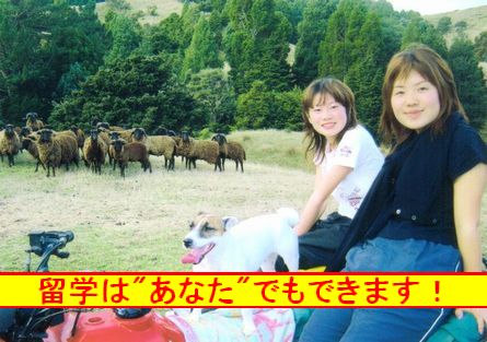 �s�o�Z�A���Z���ގ҂���̍��Z���w�Q����