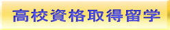 Zi擾w